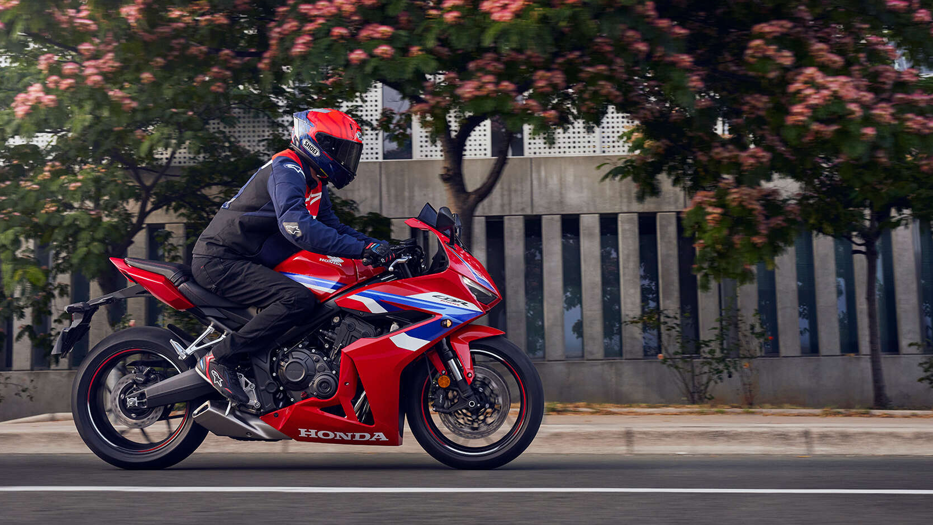 Honda CBR650R en action sur route sinueuse