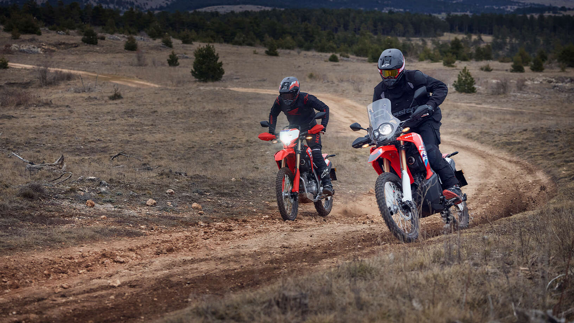 Honda CRF300L sur route et sentier, vue dynamique