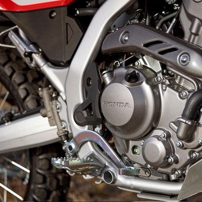 Honda CRF300L vue de profil sur route